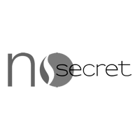 No Secrets logo