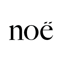 NOE logo