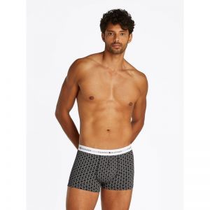 3P TRUNK PRINT 0UA Flag Geo D