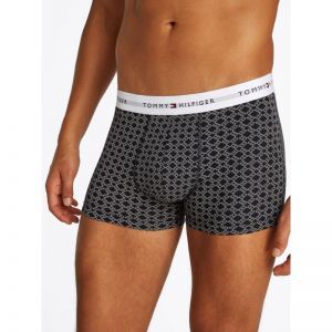 3P TRUNK PRINT 0UA Flag Geo D