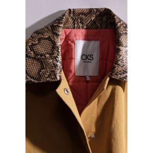 311957 BRL brown light