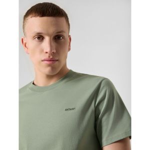 ANTWRP Noodle Box Backprint T- - 000540 - GREE